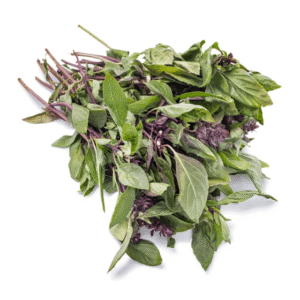 Thai Basil 0.5 lb