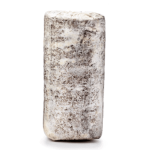 Fresh Oyster Mushroom Log 1 count