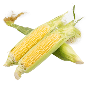 Yellow Corn 1 count
