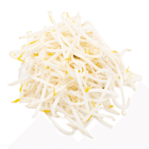 Mung Bean Sprouts 12 oz