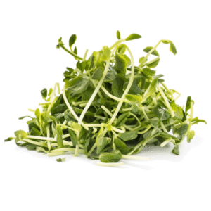 Pea Sprouts 2 oz