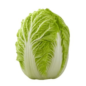 Napa Cabbage 1 count