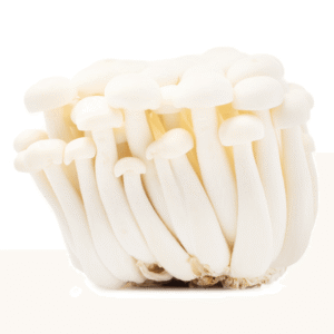 White Beech Mushrooms 1 each