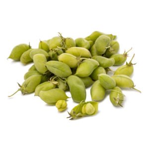 Chickpea (Fresh Garbanzo) 1 lb