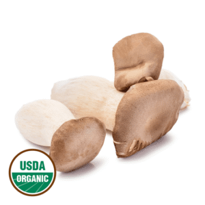 Organic King Oyster Mushrooms 300 g