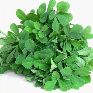 Methi Leaves (Fenugreek) 0.75 oz