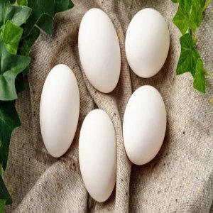 Farm eggs